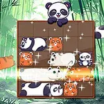 Les adorables petits pandas sont là pour vous voler le cœur!