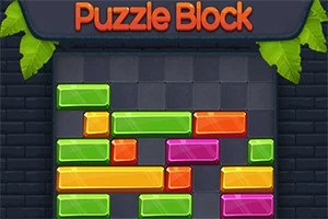 Puzzle Block